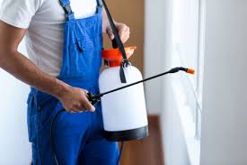 Best Fumigation Services  in Gamewell, NC